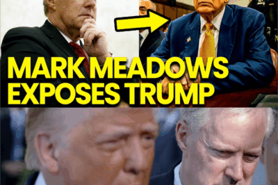 The Implosion of Loyalty: Mark Meadows’ Courtroom Testimony Reveals ‘Horrific Secrets,’ Leaving Trump’s Defense in Ruins