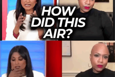 Democrats Under Fire: Ayanna Pressley Confronted Over Epstein Files Silence