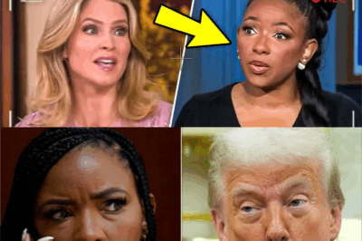 The Accusation Heard ‘Round the Web: Why Sara Haines Called Out Jasmine Crockett on The View