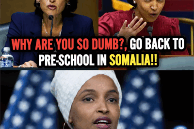 💥 The Congressional Reality Check: Why Ilhan Omar’s Economics Lesson Backfired