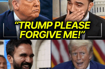 📰 The Socialist Pivot: Zohran Mamdani’s 180 on Trump—From “Worst Nightmare” to Oval Office Request