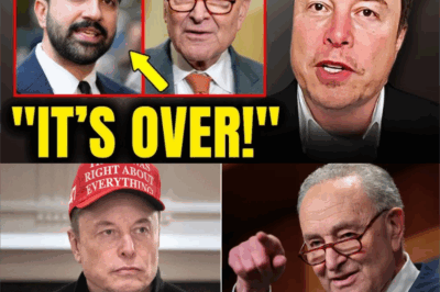 🇺🇸 The Democratic Crossroads: Systemic Failure and the Price of Ideological Insulation