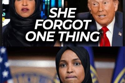 🇺🇸 The Weaponization of Allegation: Analyzing the Political Firestorm Around Ilhan Omar