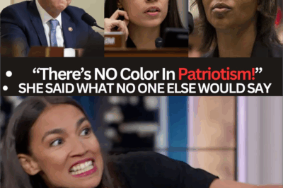 Candace Owens Challenges Democratic Narrative on Race, Economy, and Political Polarization in Congressional Testimony