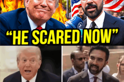 💥 Mamdani’s Reckless Threat and the Political Chasm: Trump’s ‘Communism’ Counter and the Shocking Jay Jones Victory
