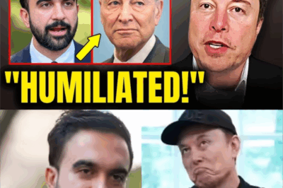 Leftists Riot Over Somalia Clan Backstab: The Real Story Behind the Minneapolis Mayoral Race