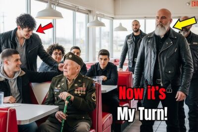 They Told the Old Veteran to Leave — Then Six Navy SEALs Stood Up