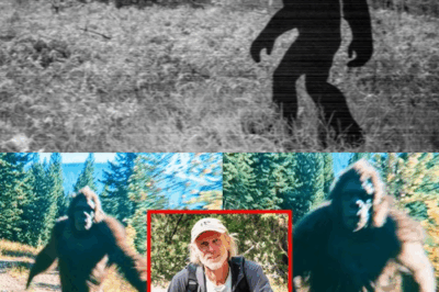 Hiker’s Final Footage of BIGFOOT – BIGFOOT SIGHTINGS ON CAMERA COMPILATION