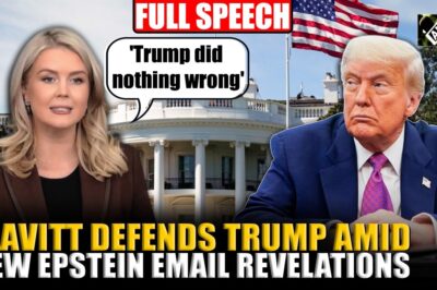 ‘Trump Did Nothing Wrong’: Leavitt Defends President Amid New Epstein Email Revelations