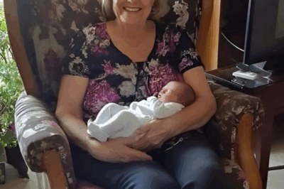 Part1_’SHE’LL NEVER KNOW WHO YOU ARE’: The Chilling Whisper That Exposed My Mother-in-Law’s Secret!