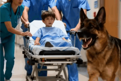 THE ULTIMATE PATIENT: I Tried to Move an 8-Year-Old to Surgery… But His Dog Knew Better!