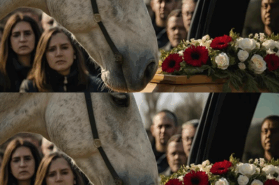 Part1_The Uninvited Mourner: Horse Emerges from Forest, Shocks All Present with Its Action.