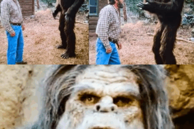 4-Hour Conversation: What Bigfoot Revealed About Our World That Is Absolutely Terrif