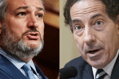Jamie Raskin Tries to Humiliate Ted Cruz—Harvard Lawyer Instantly Destroys Him!