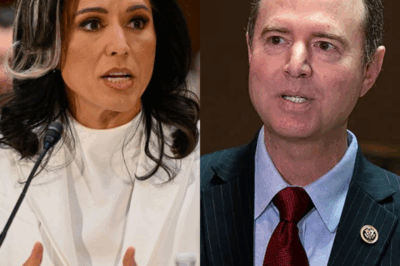 New!!! Tulsi Gabbard Exposes Adam Schiff—You Won’t Believe How She Completely Destroyed Him with Hard-Hitting Facts!