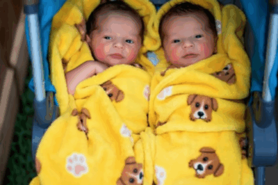 Part 1_”SORRY MOM, I COULDN’T LEAVE THEM,” My 16-Year-Old Said Bringing Newborn Twins Home—And Uttering Five Words That Stunned Me.