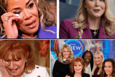 Lawsuit Sparks Chaos on The View: ABC Scrambles to Contain Emergency Damage Control!