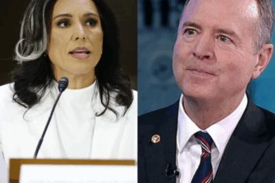 Adam Schiff Tries to Humiliate Tulsi Gabbard—Gagged in Shocking Move!