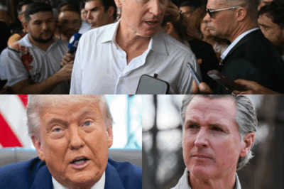 Arrested! Gavin Newsom’s Presidential Dreams Crushed by Corruption Scandal