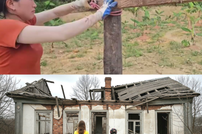Unbelievable! Young Woman REVIVES 1960 House for Lonely old WomanUnbelievable! Young Woman REVIVES 1960 House for Lonely old Woman