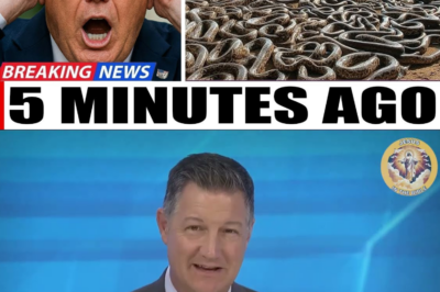 SIGN OF GOD? Biggest Tragedy JUST Happened in The USA! The Whole World is Shocked and Scared