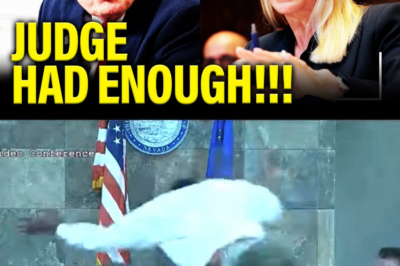 Judge BLOWS UP the Government After SHOCK Behavior in Court