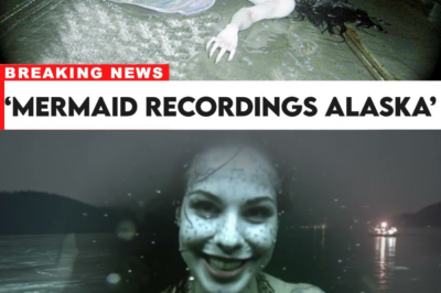 Real Mermaid Footage – Old Alaskan Fisherman Leaves 17 Years of Recordings As Inheritance
