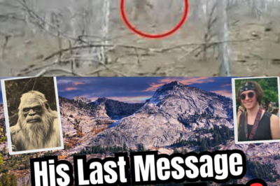 A 22-Year-Old Vanished in Yellowstone, but His Final Text Revealed a Terror No One Was Prepared For