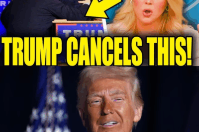 Cancelled Promises: Trump’s World AIDS Day Decision, Public Health Fallout, and the Rise of Progressive Activism