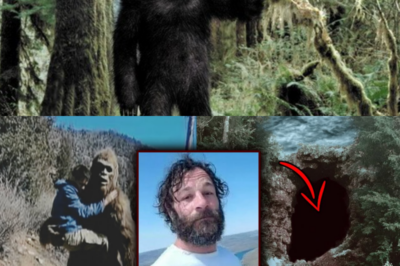 Mysterious Disappearance: The Shocking Return of a Tourist Who Claims Bigfoot Held Him Captive!