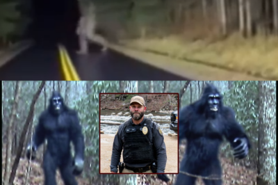 A Search for Answers: What Happened to the Officer Whose Torn Uniform Was All That Remained?