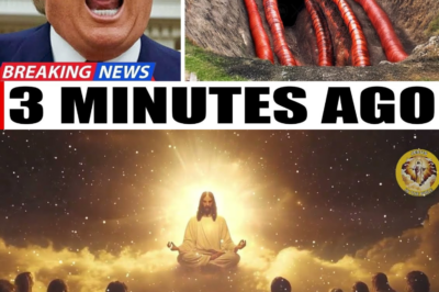 SIGN OF GOD? See What JUST Happened in the USA—Shocked the World! Is Christ Coming Back?