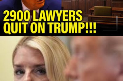Claim of “2,900 DOJ Lawyers Suddenly Quit on Trump” Sparks Online Frenzy — Here’s What Would Have to Be True