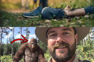 Into the Wilderness: The Mysterious Disappearances and Deaths of Three Dedicated Park Rangers!