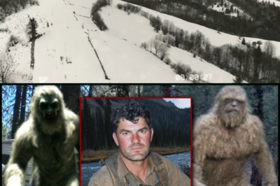 Mysterious Disappearance: A Tourist Vanishes in the Snowy Appalachians, Leaving Only Huge Footprints Behind!