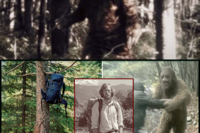 Lost in the Wild: The Chilling Case of a Hiker Who Disappeared in Alaska, With Only a Backpack and a Single Boot Found!