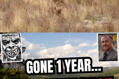 The Ranger Vanished into the Wild and Came Back with a Chilling Message