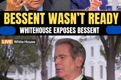 Whitehouse Exposes Bessent on the Coming Insurance-Driven Collapse