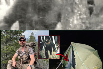 Montana Mystery: Tourist Vanishes – Tent Shredded and Massive Footprints Encircle the Campsite