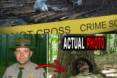 Beyond Logic: The Two Most Mysterious Park Ranger Deaths Ever Recorded