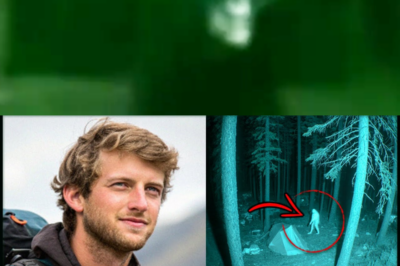 Vanished in Yellowstone: Tourist’s Camera Reveals a Giant Figure Behind His Tent