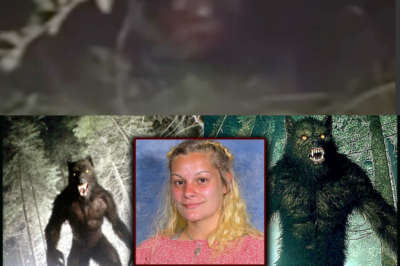 Michigan Mystery: Teacher Vanishes on Her Way Home as Dog-Like Tracks Lead Into the Forest