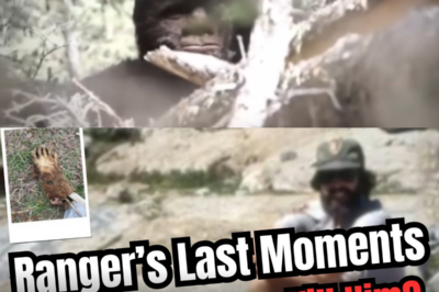 The Chilling Discovery that Finally Ended the Hunt for Kings Canyon’s Ghost Ranger