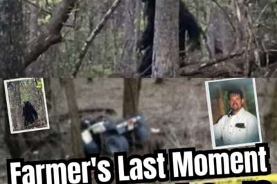 Left in the Mist: The Chilling Evidence of Mike Severn’s Final Encounter with the Shadow of Bigfoot