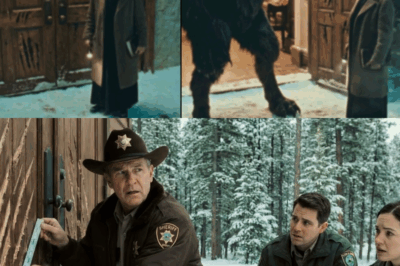 For 27 Nights Straight, a DOGMAN Visited the Church, What Happened on the 28th Was Unbelievable!