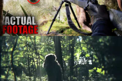 Incredible NEW BIGFOOT Footage Validates the Legend’s Reality!