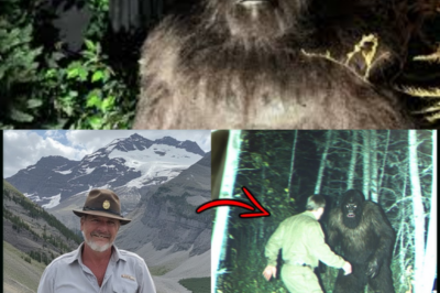 Alaskan Mystery: Missing Tourist’s Skeleton Discovered Split in Two After 10 Years