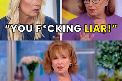 When Cruelty Meets Courage: The Day Leanne Morgan Exposed the Cost of Mean-Spirited Comedy on The View