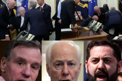 Trump’s War Lie Explodes White House Stunned by Devastating New Evidence