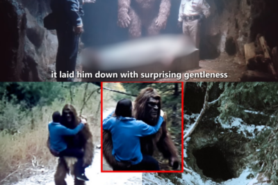 Unveiling the Unknown: What Really Happens to Human Bodies in the Presence of Bigfoot?